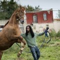 The Real-Life Concrete Cowboys of Philadelphia